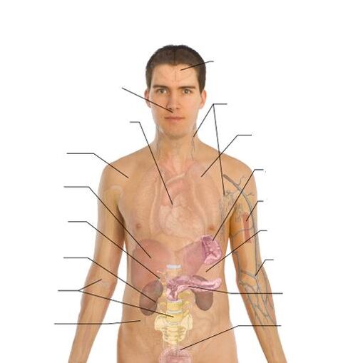 Anzeichen für das Vorhandensein von Parasiten in verschiedenen Organen